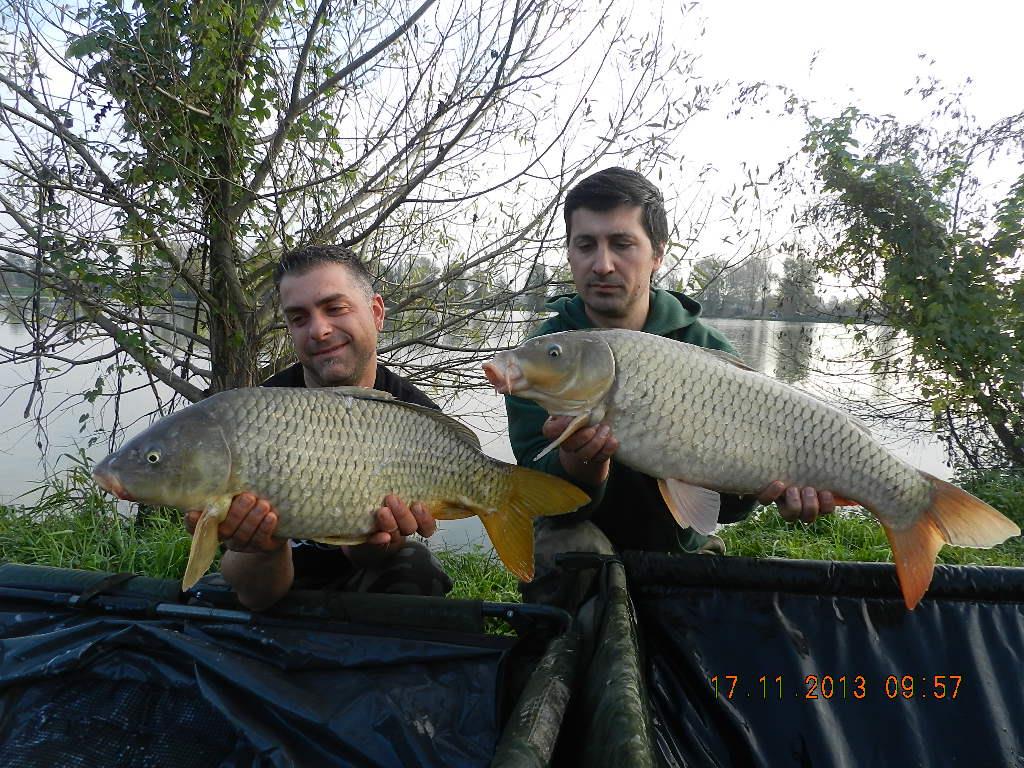 15 noiembrie 2013 - dscn1817.JPG